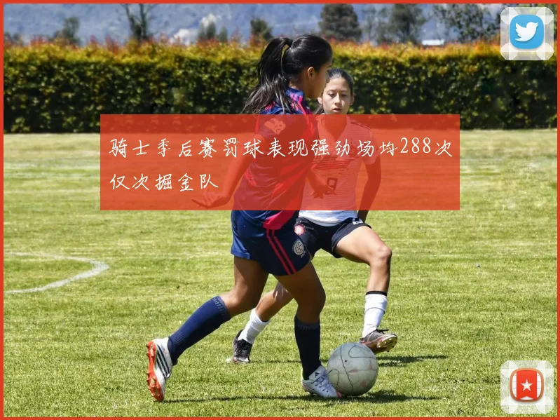 骑士季后赛罚球表现强劲场均288次仅次掘金队